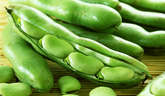 蚕豆低卡又健康