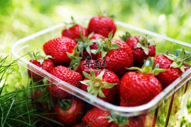 养生草莓减肥食谱 想要减肥常吃草莓也不错