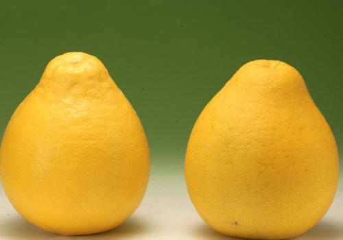 睡前多久吃柚子合适 睡前多久吃柚子合适