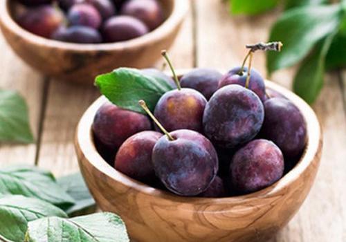 减肥一天吃多少西梅合适