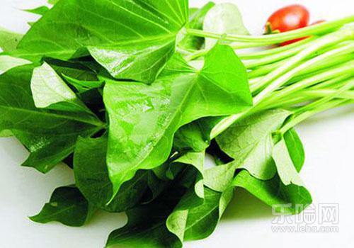 怎么吃红薯叶减肥 怎么吃红薯叶减肥