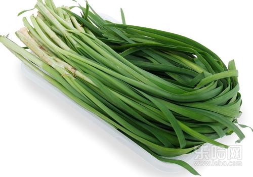洗肠草--韭菜 洗肠草--韭菜