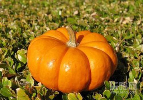 吃南瓜减肥能长期吃吗