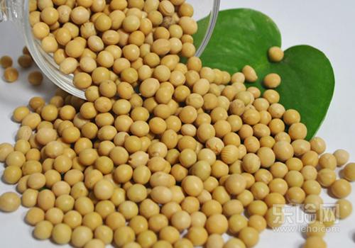 醋泡黄豆