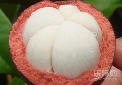 吃山竹为什么可以减肥