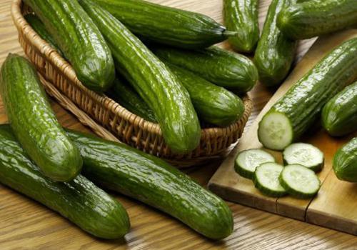 黄瓜的高含水量有何助益