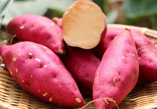 红薯这么吃,保证让你7天瘦8斤 红薯这么吃,保证让你7天瘦8斤