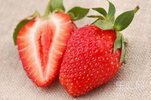 草莓的热量 草莓的热量
