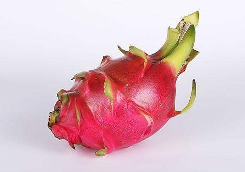 挑选火龙果的时候应该注意哪些呢 挑选火龙果的时候应该注意哪些呢