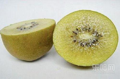 肉碱促进脂肪燃烧