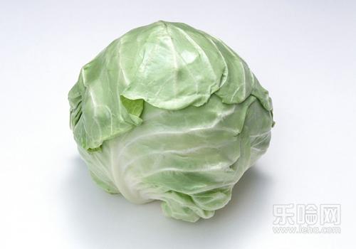 天然胃菜--卷心菜 天然胃菜--卷心菜