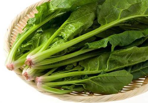 蔬菜之王--菠菜 蔬菜之王--菠菜