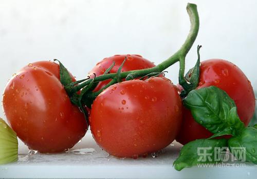 晚饭怎么吃健康又减肥,晚饭怎么吃能减肥
