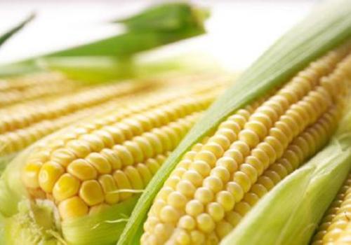 玉米怎么吃减肥吃玉米都有哪些好处
