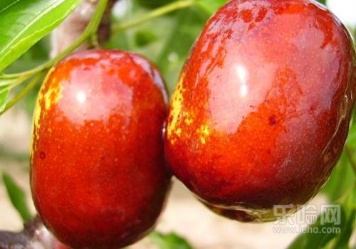 吃了容易胖的水果,吃这几种水果,比吃肉还容易胖!减肥的女人必看