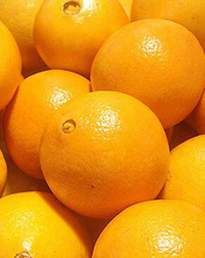 减肥的最好方法 吃什么水果减肥最快?