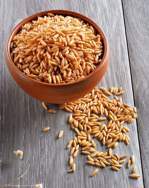 燕麦米怎么吃减肥 详解燕麦片的功效与作用