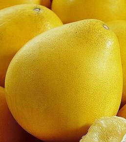 吃柚子的好处 秋季减膘饭前吃柚子助减肥