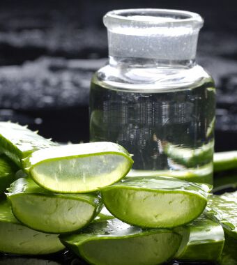 芦荟怎么吃 芦荟减肥吃法