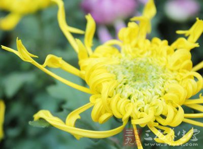 减肥偏方 怎么吃才能有效减肥护肤技巧