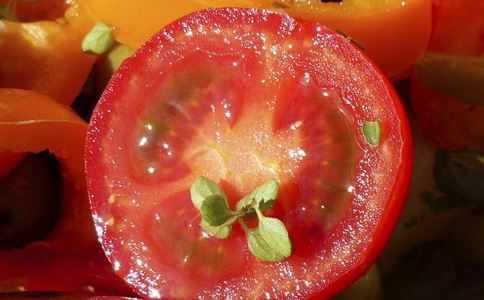 减肥千万不能吃的8种水果养颜食谱