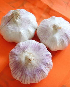 减肥食谱,6款减肥粥一周吃出好身材