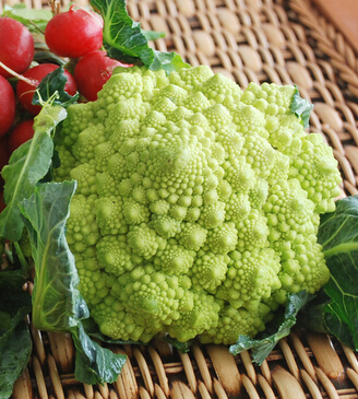 针灸减肥食谱,冬季针灸减肥食谱