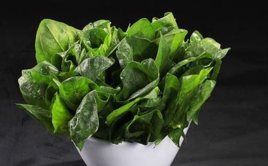 t01ed40b20a44937b6e.jpg t01ed40b20a44937b6e.jpg