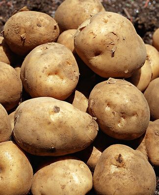 吃什么减肥,土豆的三大美容功效